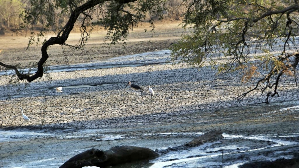 Zimbabwe Is In A State Of Disaster In The Midst Of Drought - Best Of Senior