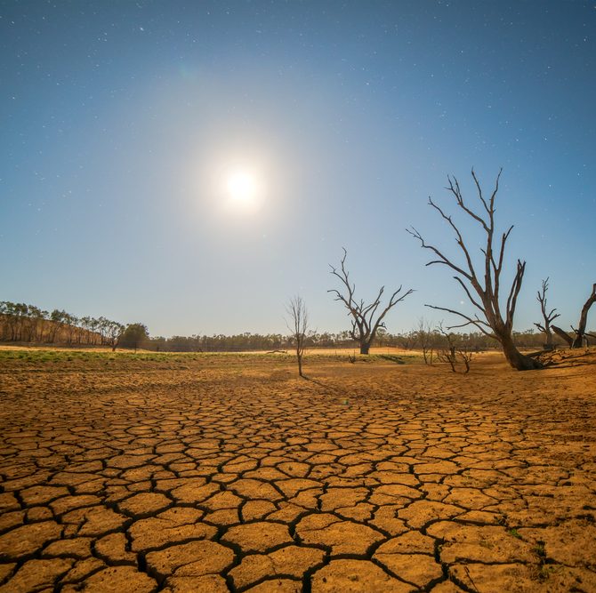 Zimbabwe Is In A State Of Disaster In The Midst Of Drought - Best Of Senior