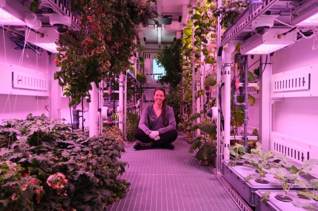 Remember When Antarctica Produced Vegetables from an Indoor Greenhouse ...